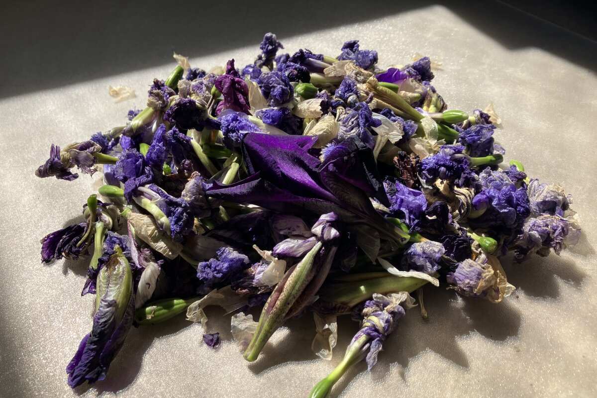 Pro mě v Domě irisově